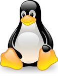 linux hosting plan